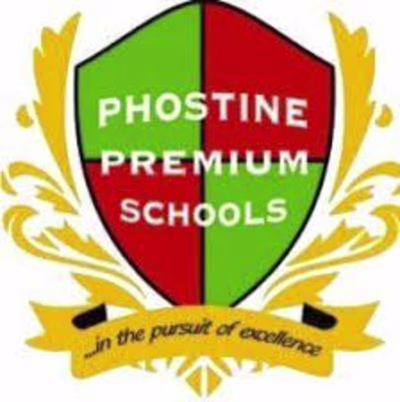Cover image for Support Efficiency Improvement Project for Phostine Premium Sch