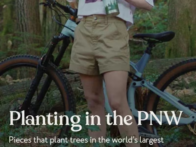 Cover image for I will Boost Speed of your Shopify Store 