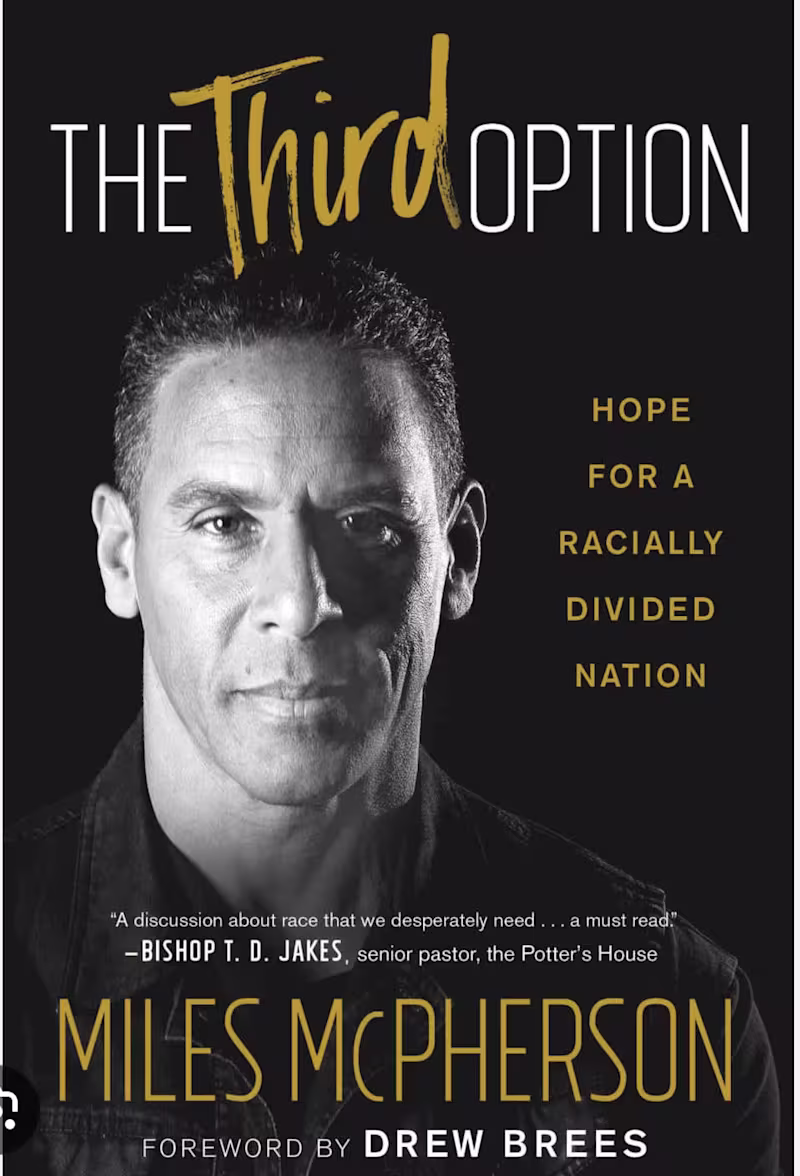 Cover image for The Third Option