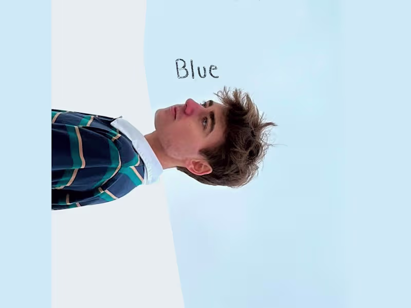 Cover image for Blue - Visual Album