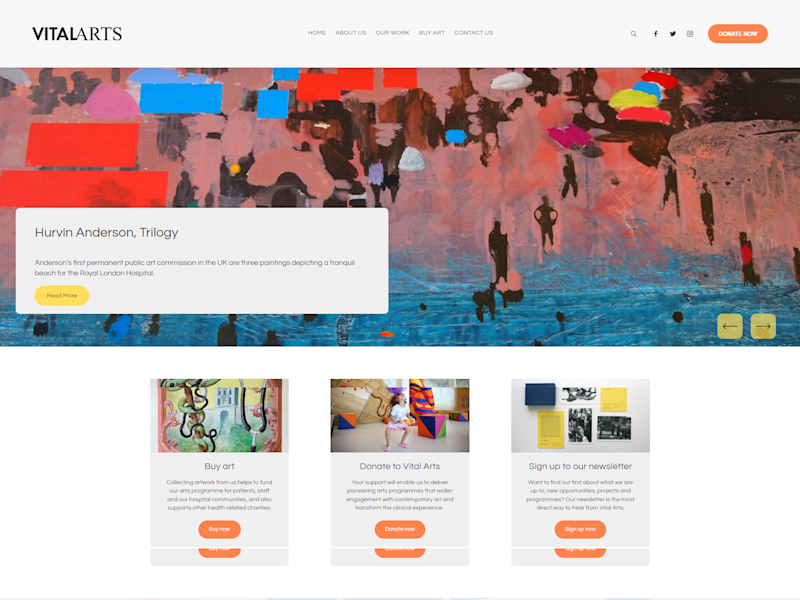 Cover image for NHS Trust - Vital Arts