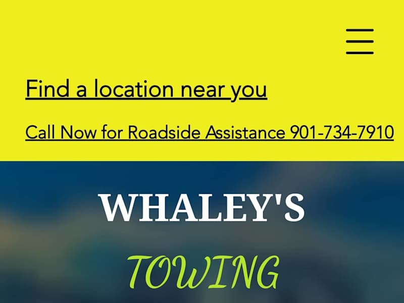 Cover image for Whaleystowing
