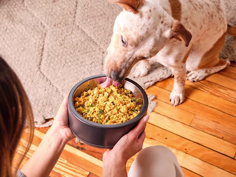 Cover image for Copywriting (Social + Email)