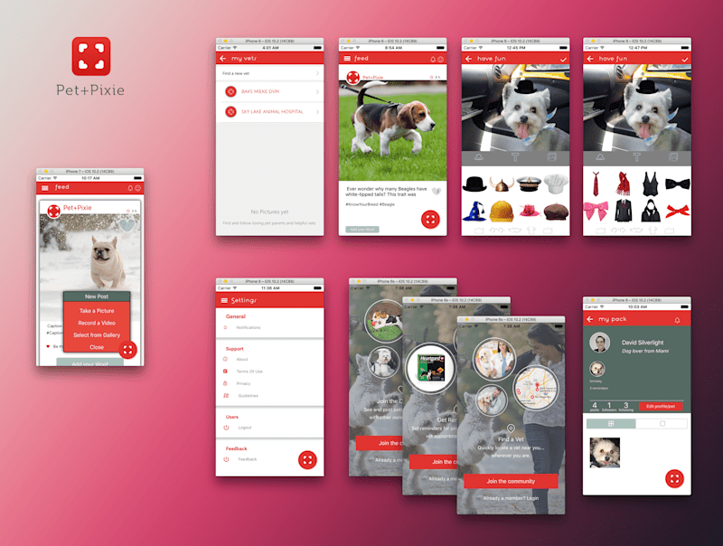 Cover image for Pet Pixie