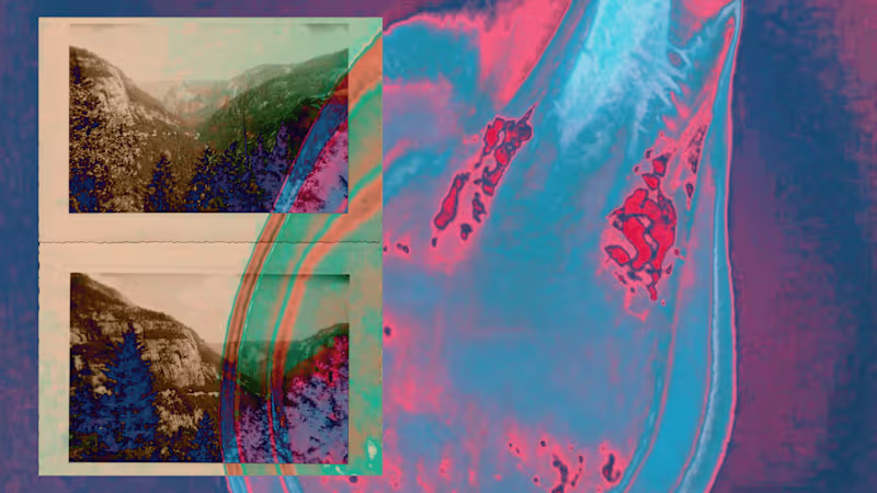 Cover image for Everdross – Retelling luxury