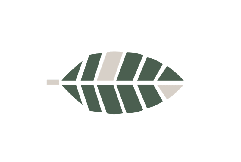 Cover image for Woodlands Collective