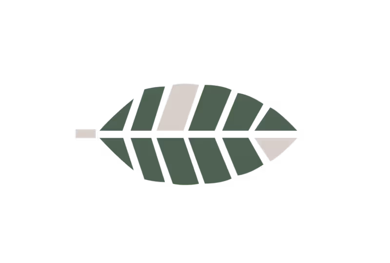 Cover image for Woodlands Collective