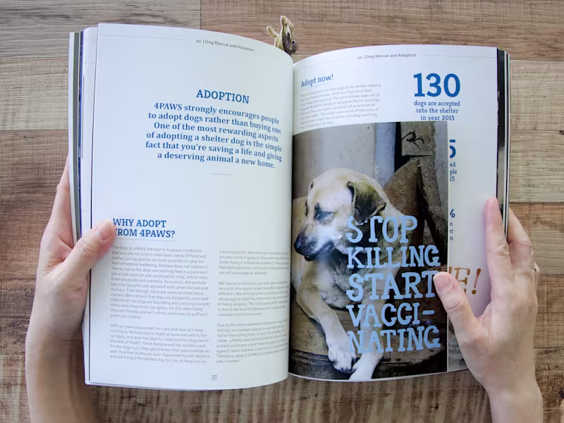 Cover image for 4PAWS Publication