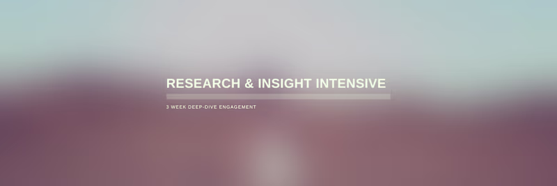 Cover image for Research & Insight Intensive
