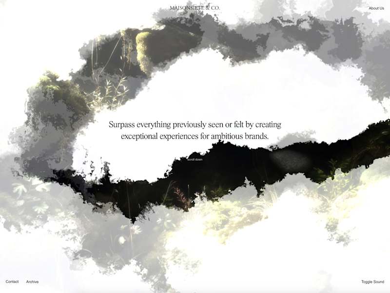 Cover image for Clean & Immersive Website for Swiz Based Company