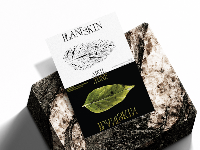 Cover image for From imprint to identity. Plant Skin.
