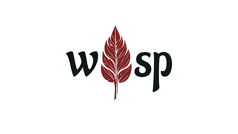Cover image for WISP Brand Identity & Visual Direction