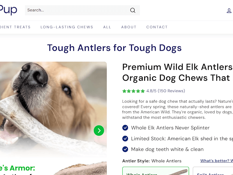 Cover image for Shopify Landing Page using Replo