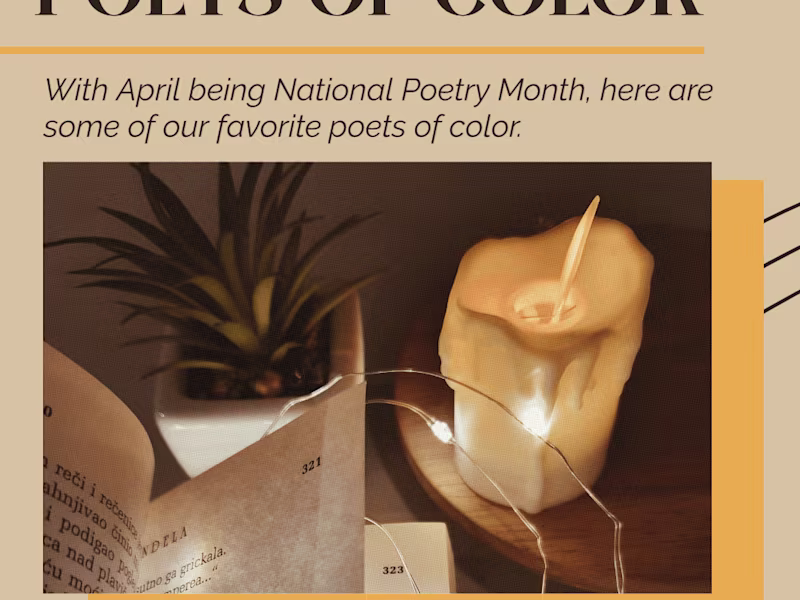 Cover image for Instagram Carousel