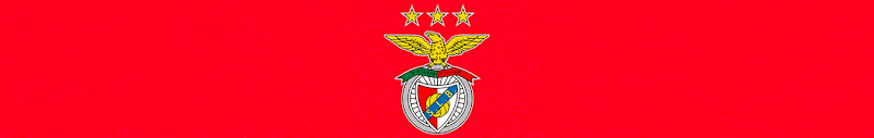 Cover image for Sport Lisboa e Benfica @ Sara