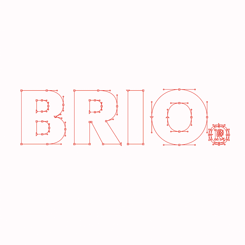 Cover image for Identity for Brio®