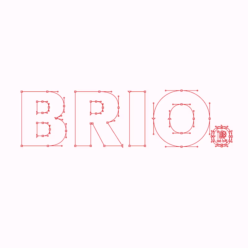 Cover image for Identity for Brio®