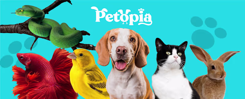 Cover image for Petopia :: Behance