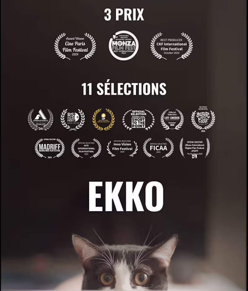 Cover image for Ekko (2024) by A. Iglesias! Still running festivals but abou...