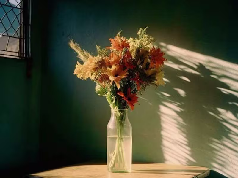 Cover image for Harnessing Mind States for Peak Performance