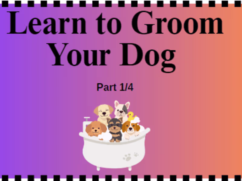 Cover image for Learn to Groom Your Dog (Part 1/4): Short Coats