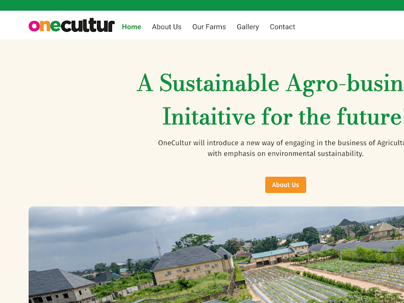 Cover image for Custom Web Development