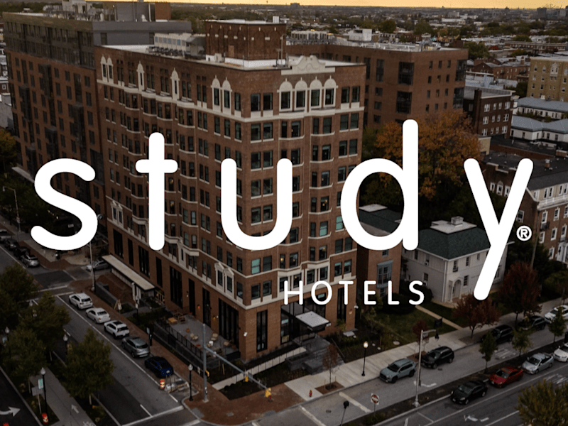 Cover image for Mural Installation Documentation at Study Hotels