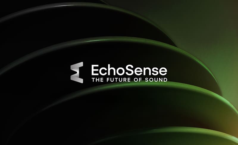 Cover image for EchoSense Brand Development