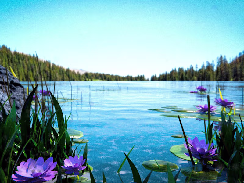 Cover image for 3D environments