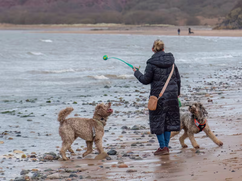 Cover image for Cropping and Image re-sizing