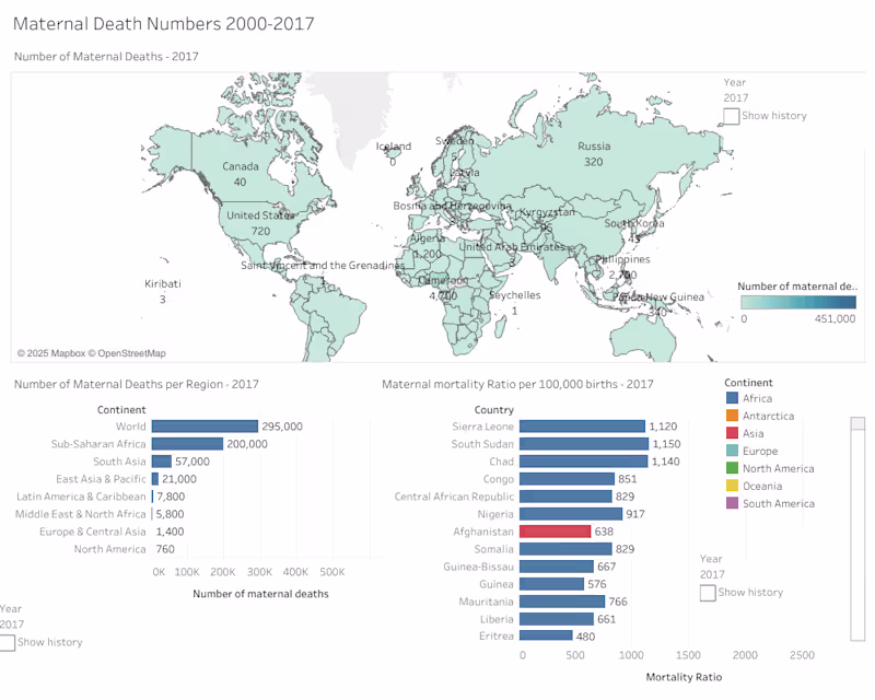 Cover image for Maternal Death Numbers 2000–2017