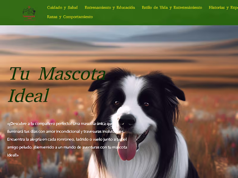 Cover image for Diseño de paginas web 