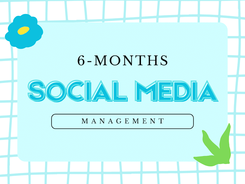 Cover image for Social Media Management (6 Months)