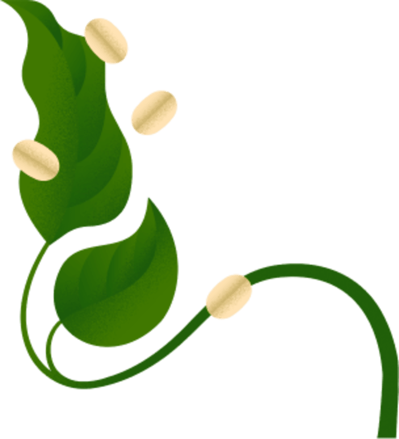 Cover image for Promotional Content for Quite Nice's Prebiotic Oatmeal