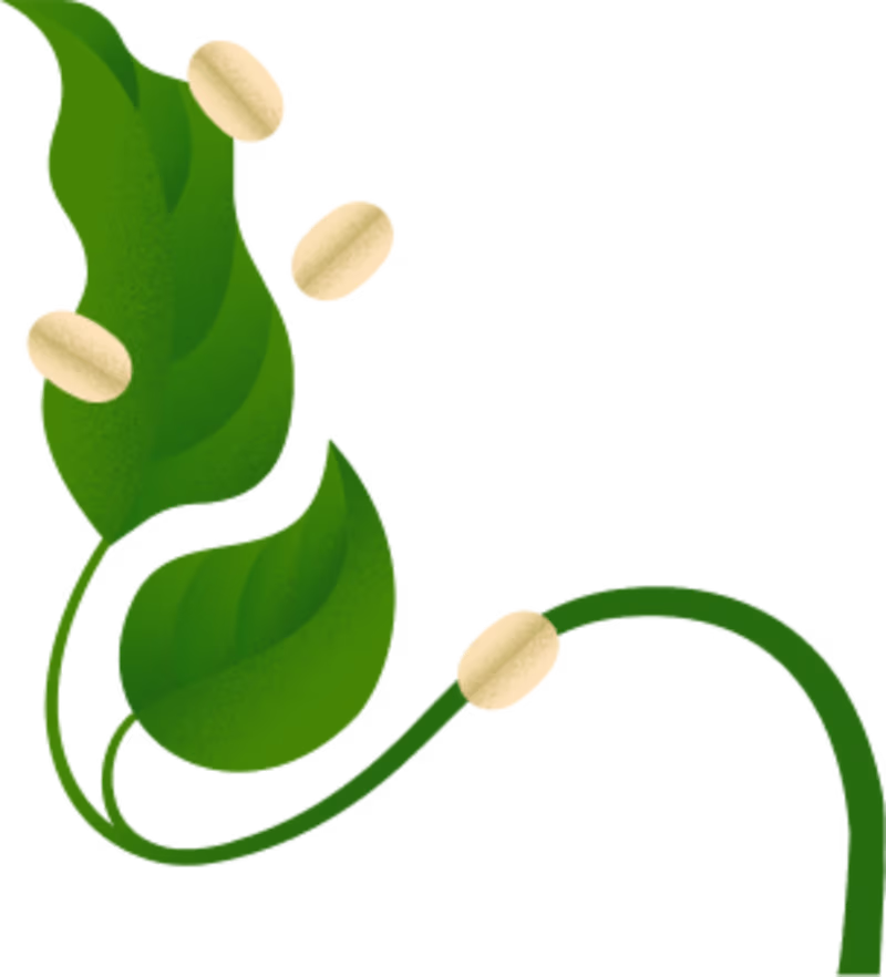 Cover image for Promotional Content for Quite Nice's Prebiotic Oatmeal