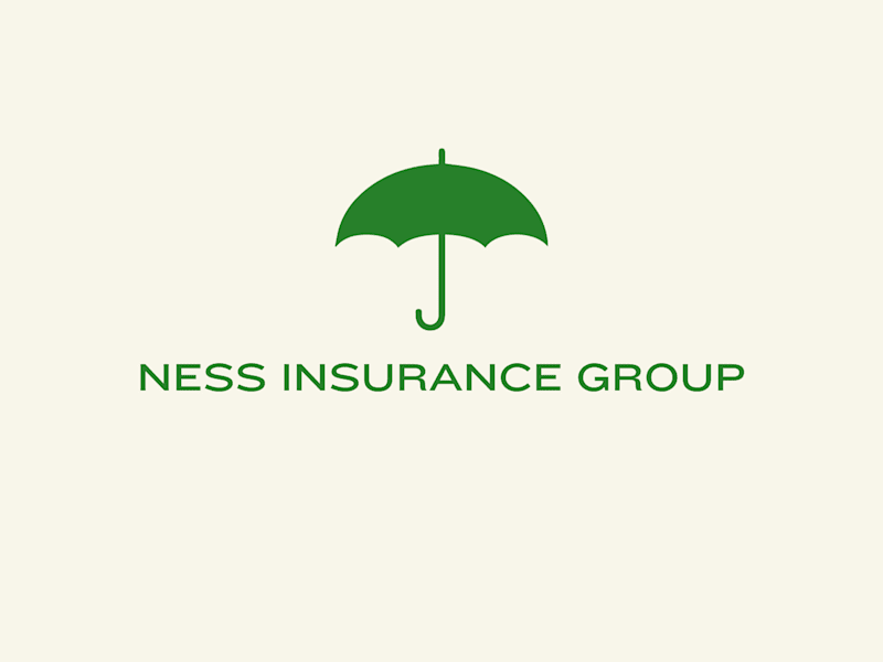 Cover image for Content Creation for Ness Insurance Group