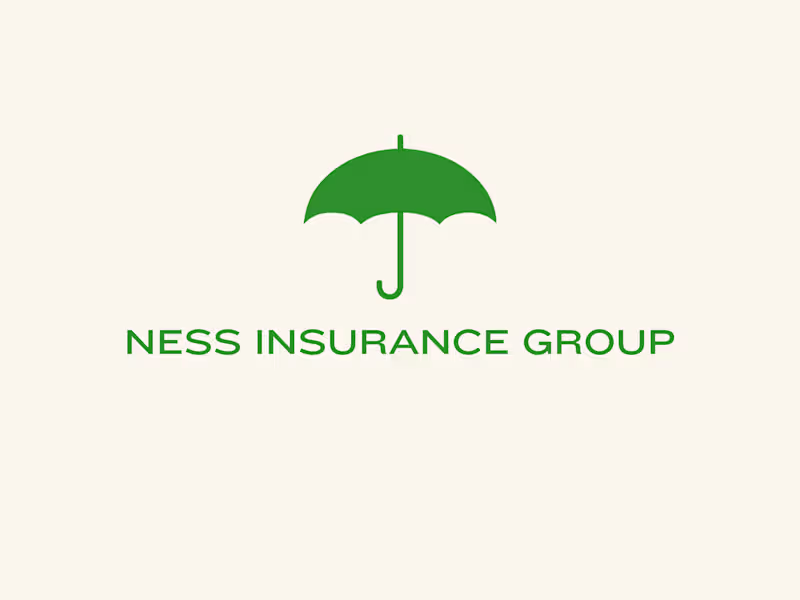 Cover image for Content Creation for Ness Insurance Group