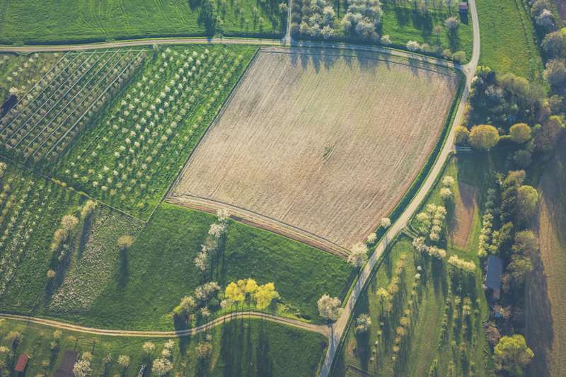 Cover image for How to Invest in Farmland