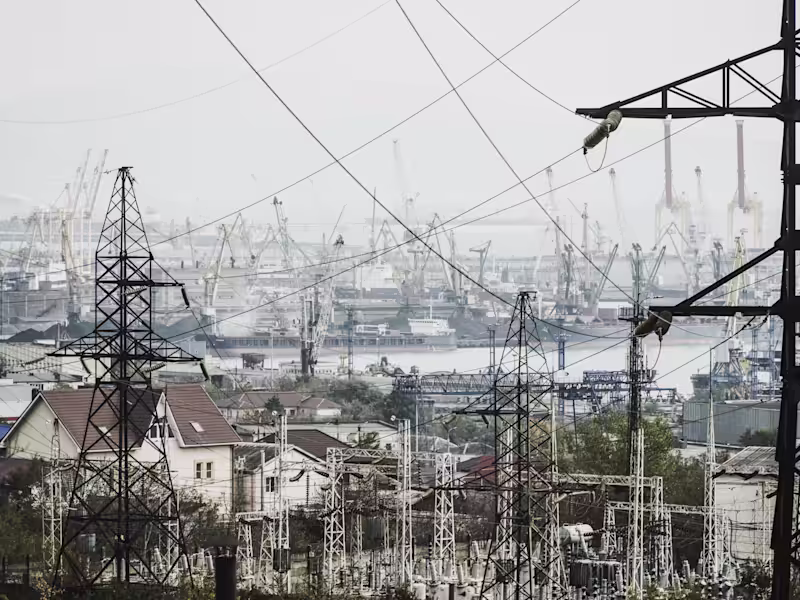 Cover image for DIGITALIZATION FOR SUSTAINABLY SMART ELECTRICITY DISTRIBUTION