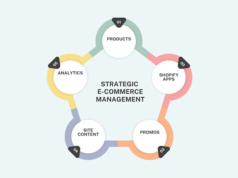 Cover image for Expert Shopify E-Commerce Management