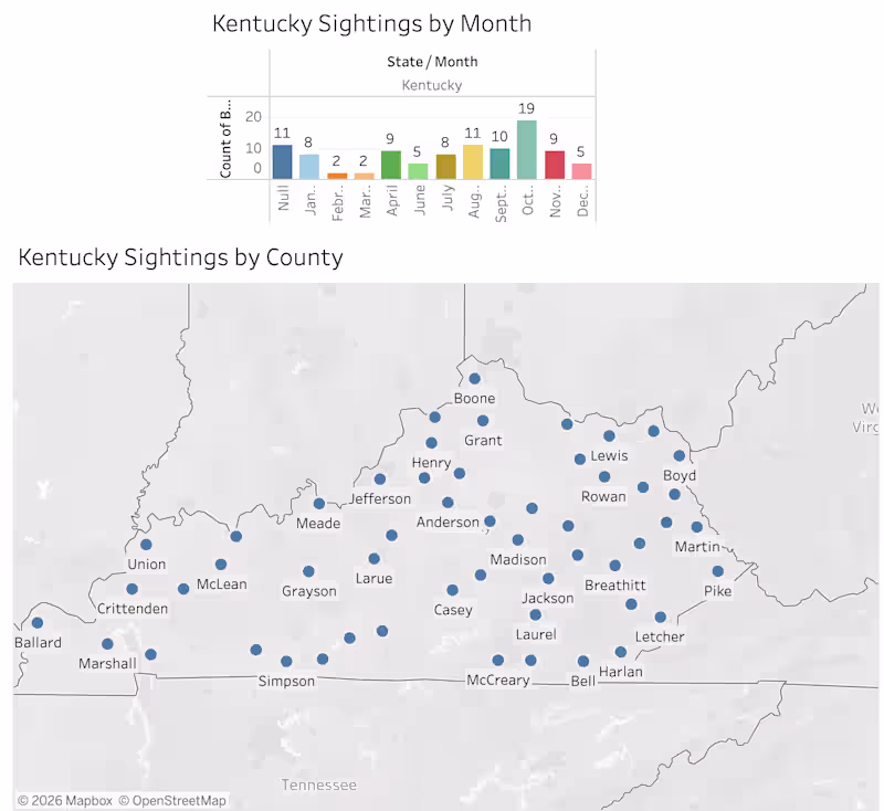Cover image for Enhance Business Insights with Geospatial Tableau Dashboards