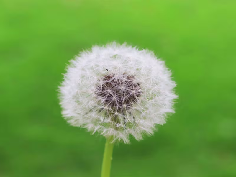 Cover image for Fun Unique Product Photography Services