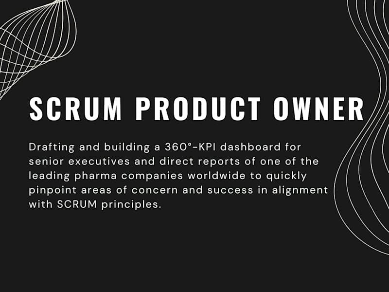 Cover image for Building C-Suite Dashboard as SCRUM Product Owner
