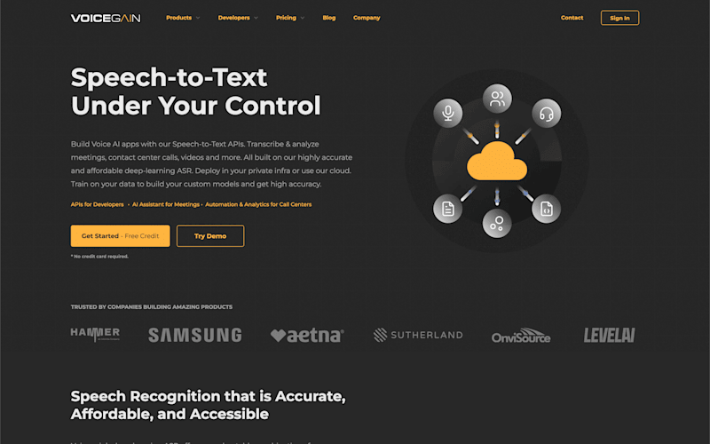 Cover image for Voicegain