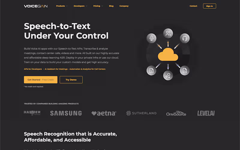 Cover image for Voicegain