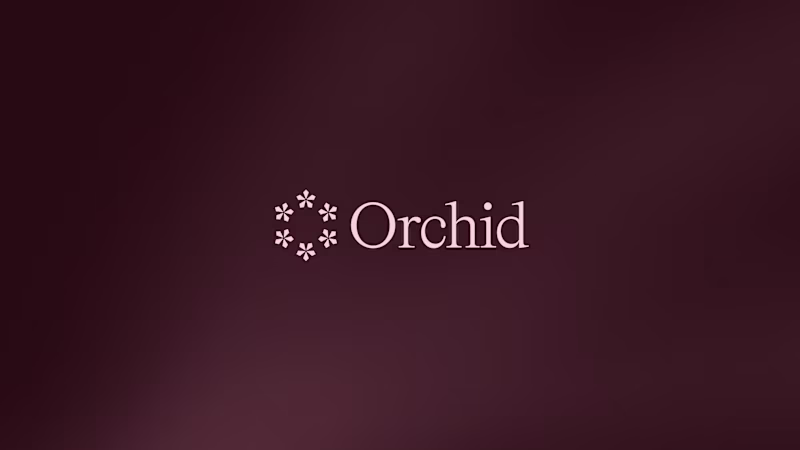 Cover image for Exploring some AI style branding today. Using this amazing c...