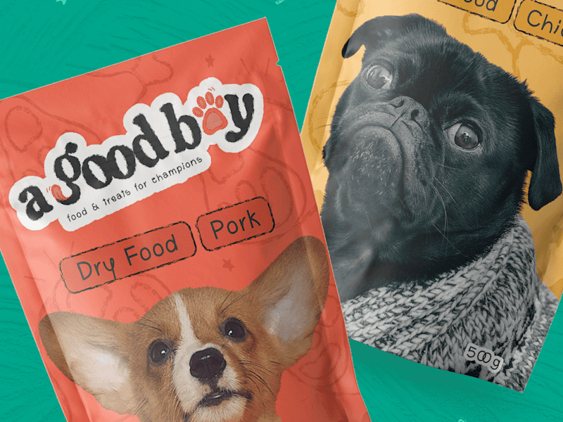 Cover image for A Good Boy