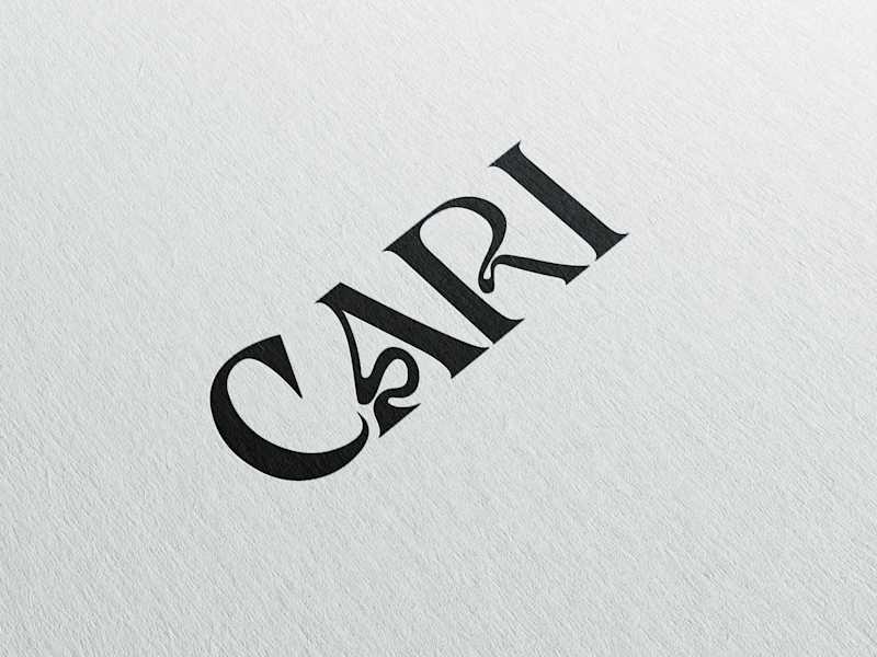 Cover image for CARI | Colder In June