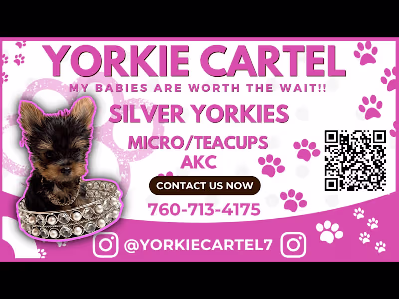 Cover image for YORKIE CARTEL BUSINESS CARDS