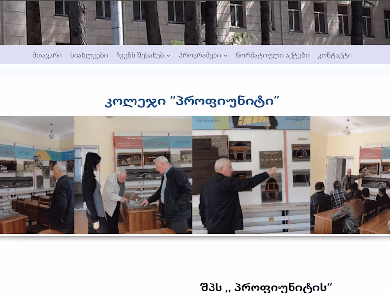 Cover image for profiuniti.ge